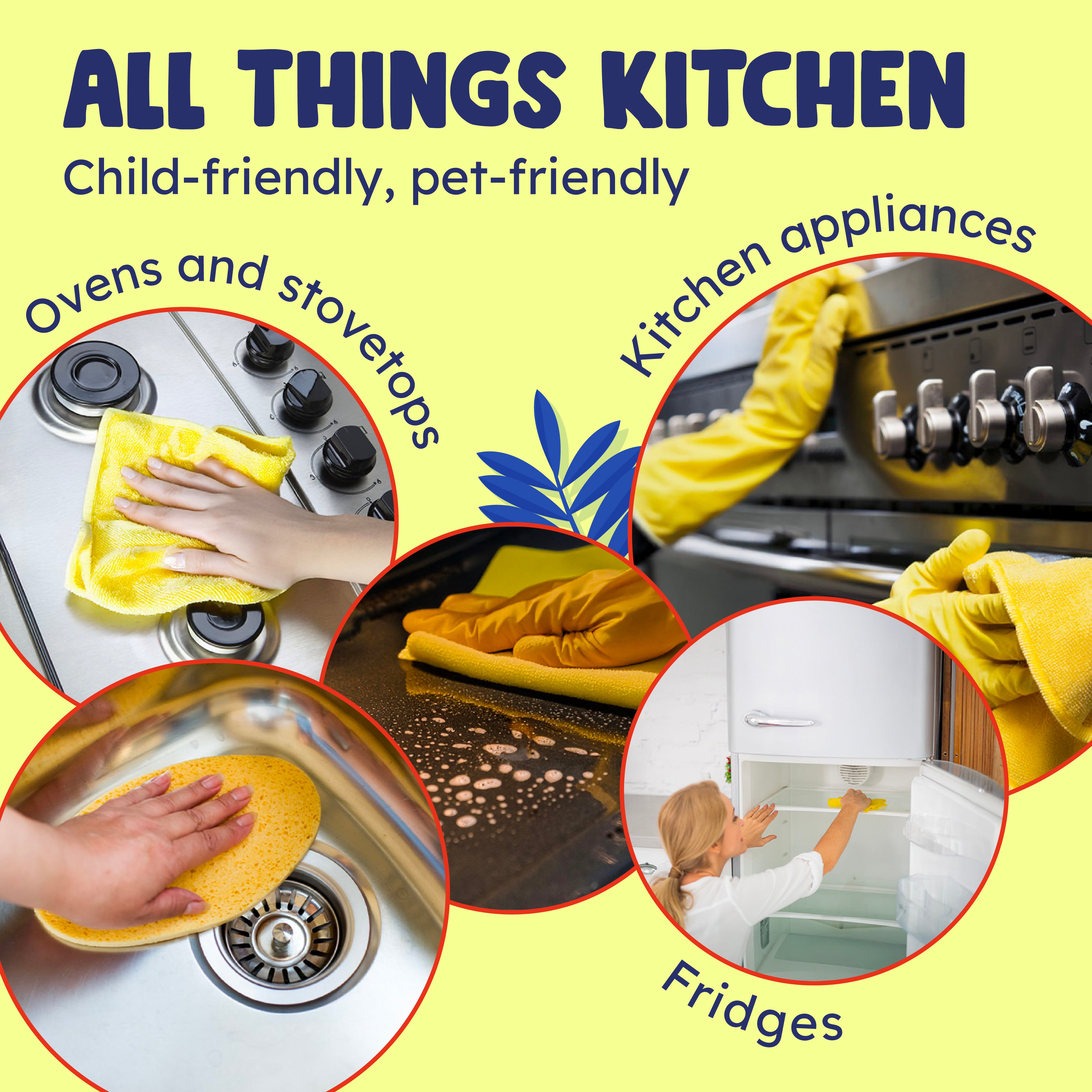 Kitchen Vinegar Cleaner x3