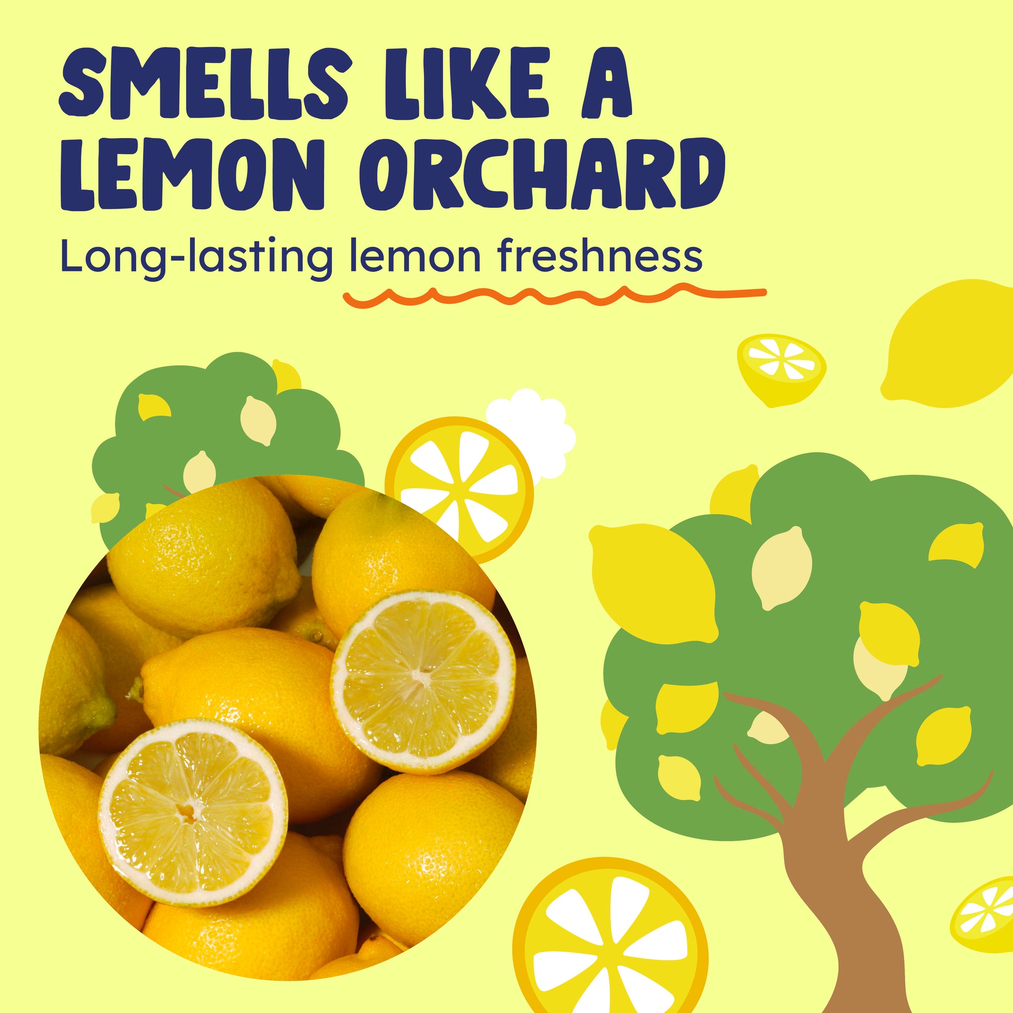 Lemon Hand Wash x3