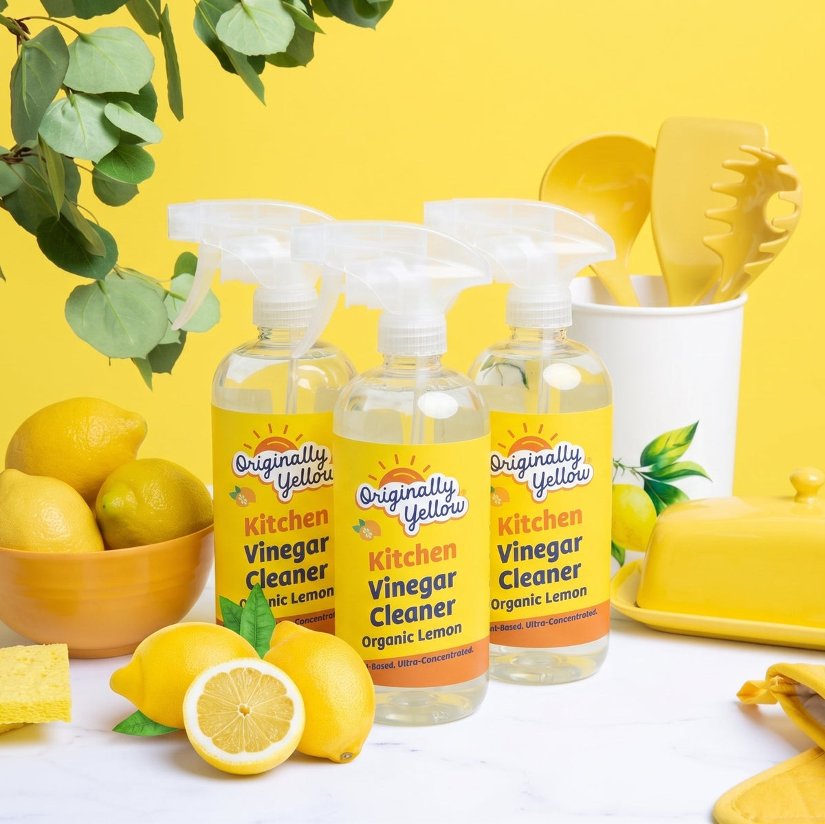 Kitchen Vinegar Cleaner x3