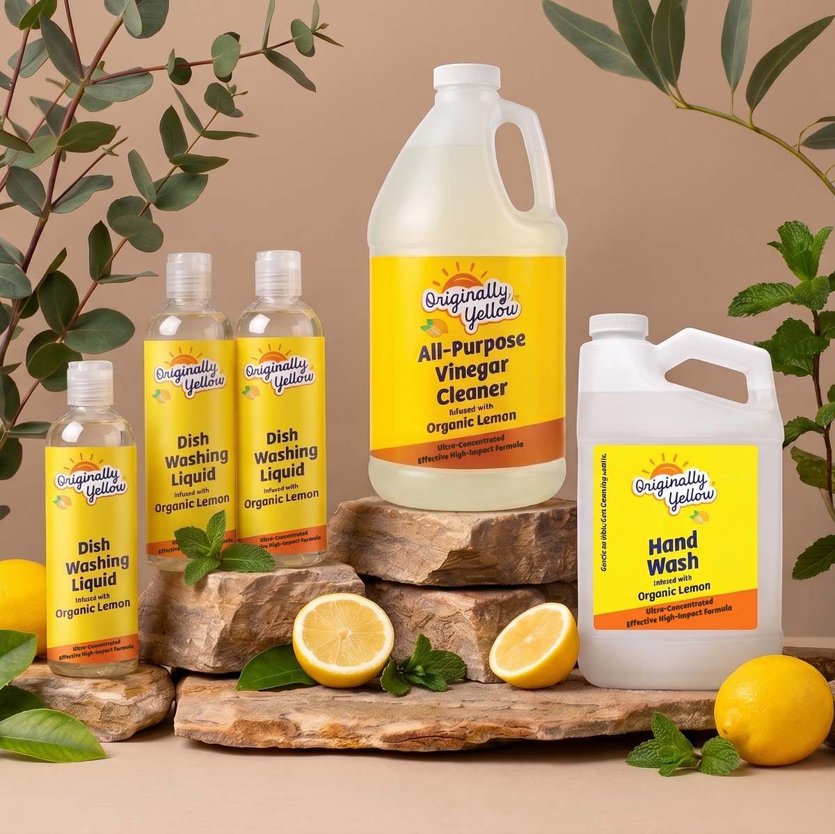 Discovery Cleaning Bundle